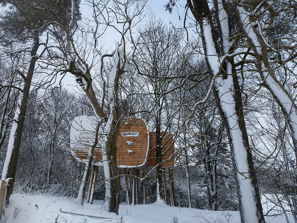 Brockloch Treehouse Exterior